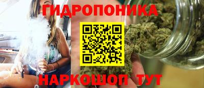мяу мяу мука Будённовск