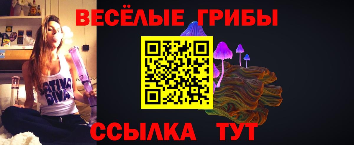 Псилоцибиновые грибы Psilocybine cubensis Волхов
