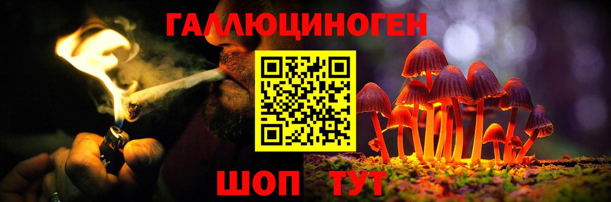 Галлюциногенные грибы GOLDEN TEACHER  Вход с VPN  Волхов 