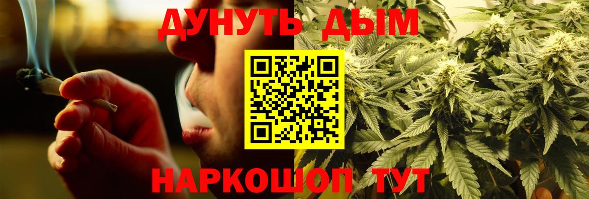 Конопля конопля Волхов